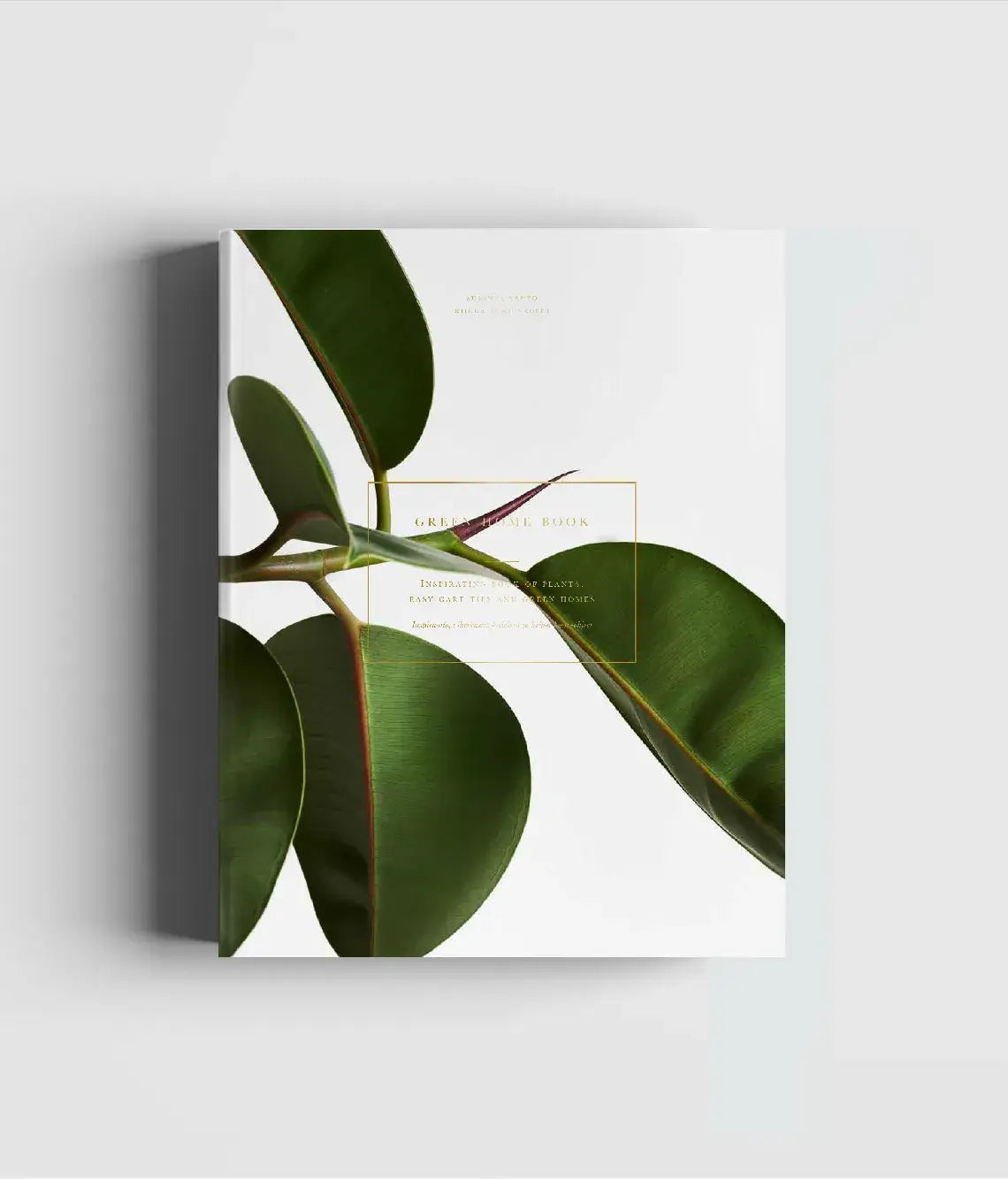 Green Home Book – Inspirierende Wohnideen mit Pflanzen