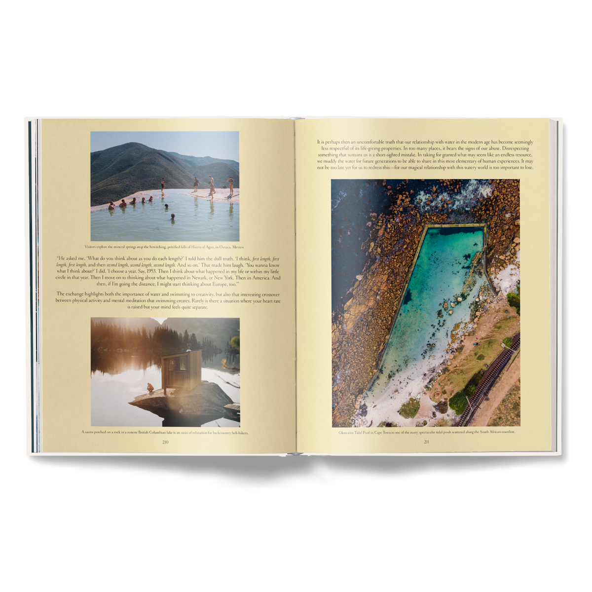 The Nature of Swimming (Updated Edition)