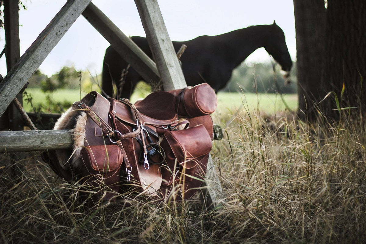 Reiten - Das ultimative Buch