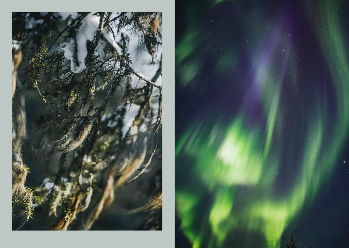 Nordic Magic – Ein Begleiter für Natur, Neo-Heidentum und nordische Volksbräuche