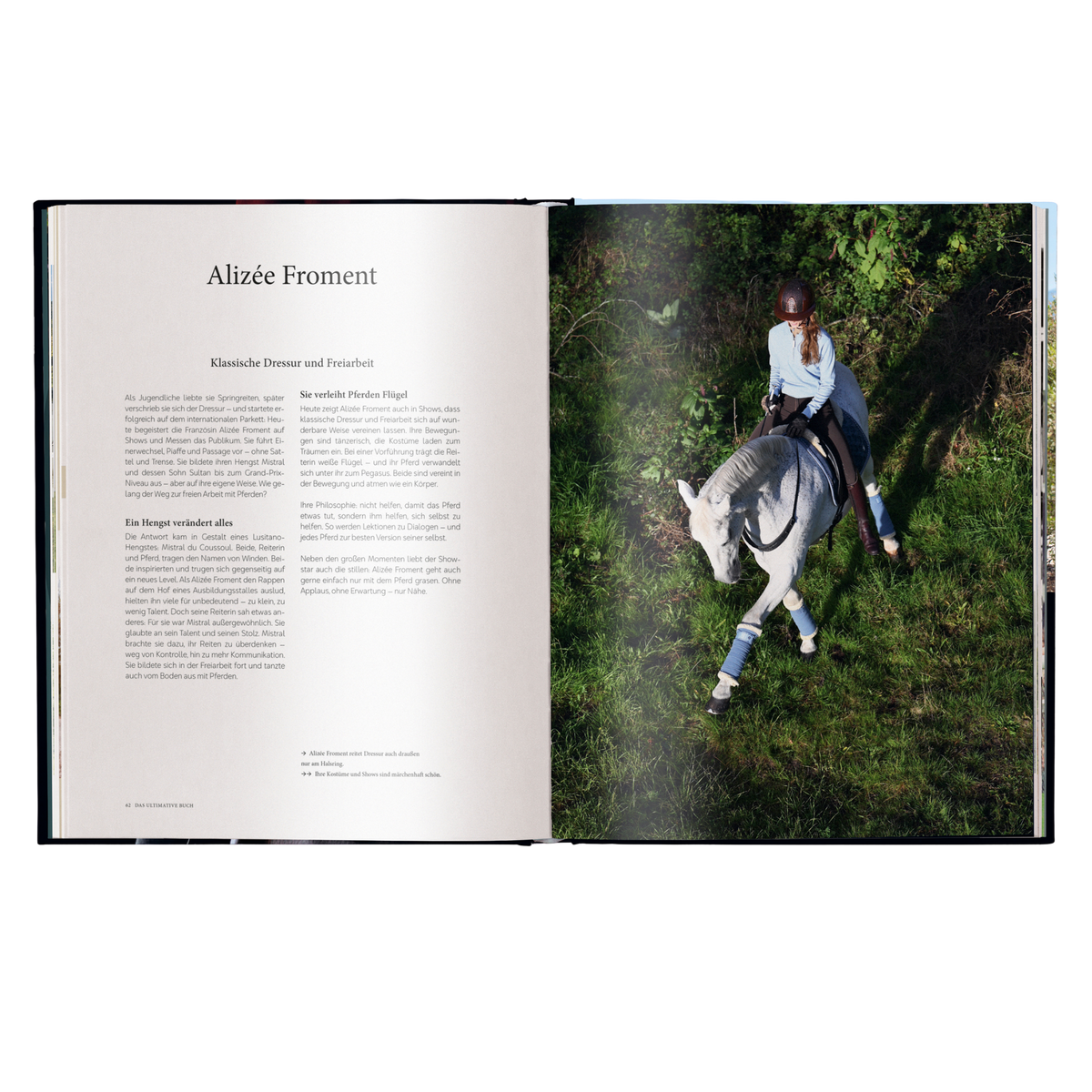 Reiten - Das ultimative Buch