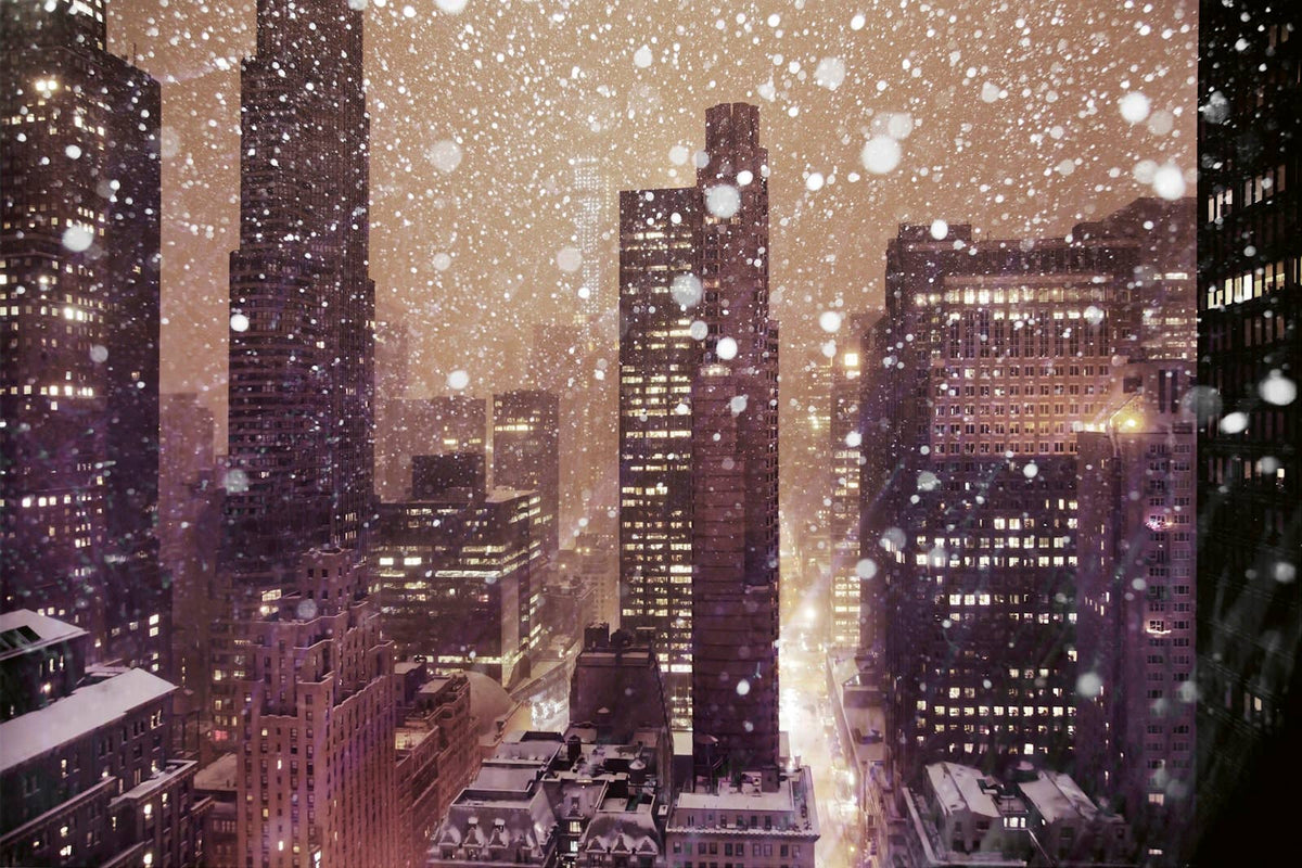 Winterland