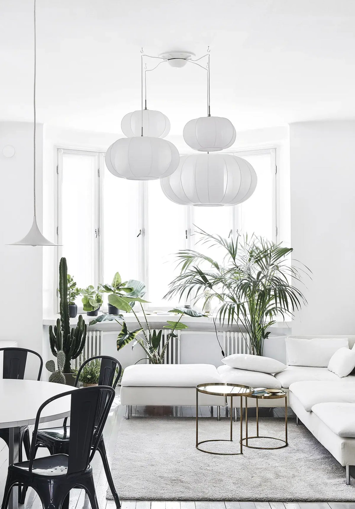 Green Home Book – Inspirierende Wohnideen mit Pflanzen